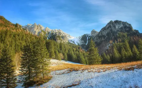 Zimowy szlak na Ornaka z Doliny Kościeliskiej. Śnieg i trawa na stoku, gęsty las świerkowy i skaliste szczyty w tle.