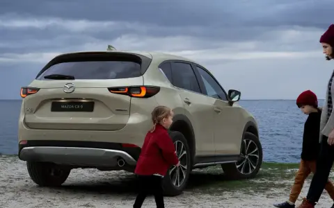 Jaki SUV dla rodziny? Oto modele, które zapewnią bezpieczeństwo i komfort