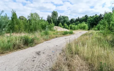 Piaszczysta droga przez zarośla, stos piasku i drzewa. Czy można wypowiedzieć służebność drogi w takim miejscu?