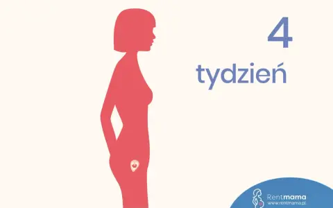 Sylwetka kobiety z zaznaczonym zarodkiem w macicy. Obok widnieje napis "4 tydzień ciąży".