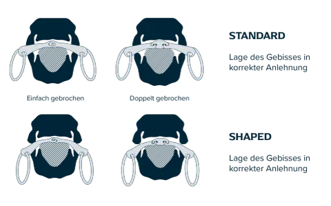 Vergleich von einfach oder doppelt gebrochenem Gebiss in Standard- und Shaped-Ausführung für korrekte Anlehnung.