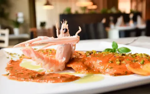 Moi Moi Gastronomia Salentina Torino: Sapori Autentici & Recensioni
