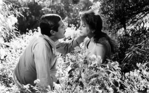 Un uomo e una donna in un campo fiorito, un'immagine che evoca il significato del sorpasso, un momento di intimità e cambiamento.