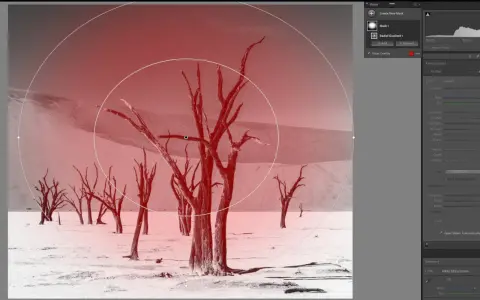 Arbres morts dans un désert, avec un filtre radial lightroom appliqué pour un effet dramatique.