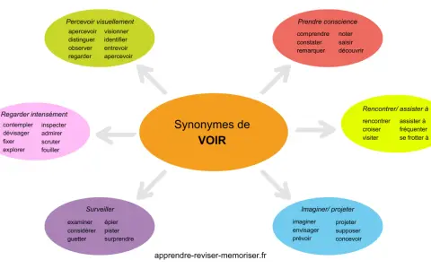 Carte mentale illustrant les synonymes de "voir", classés par nuances : percevoir visuellement, regarder intensément, surveiller, imaginer/projeter, rencontrer/assister à, prendre conscience.