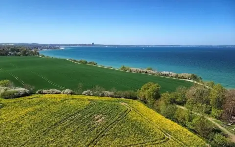 Grüne Felder und Rapsblüten vor der blauen Ostsee und Küstenlinie der Lübecker Bucht.