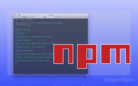 npm-Skripte im Terminal, die mit `npm ci` oder `npm run` ausgeführt werden. Das npm-Logo ist prominent platziert.