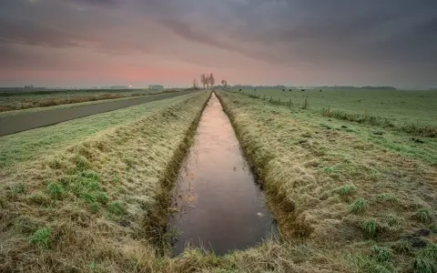 Wschód słońca nad zamarzniętym rowem, przypominającym drenaż francuski. Na łące pasą się krowy.