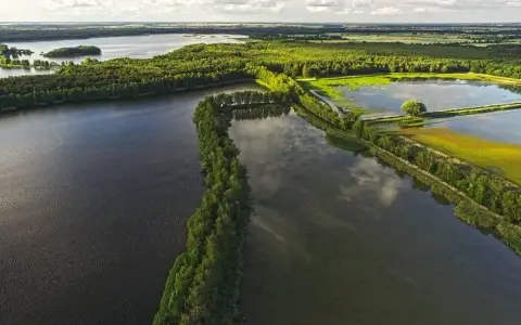 Rezerwat przyrody Stawy Milickie: Odkryj unikalną przyrodę i atrakcje