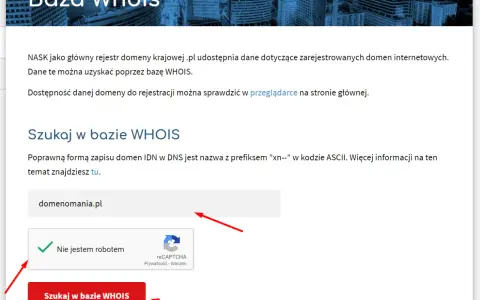 Jak sprawdzić właściciela domeny mimo RODO? Pełny poradnik