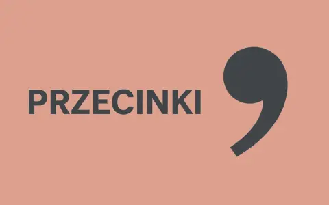 Duży, ciemnoszary przecinek obok napisu "PRZECINKI".