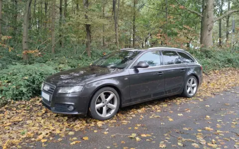 Dunkelgrauer Audi A4 Avant 2008 parkt im Herbstwald, umgeben von Laub.