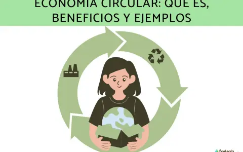 Ilustración de economía circular: una chica sostiene la Tierra en una caja, rodeada por un ciclo de flechas que representan la producción, el reciclaje y el consumo.