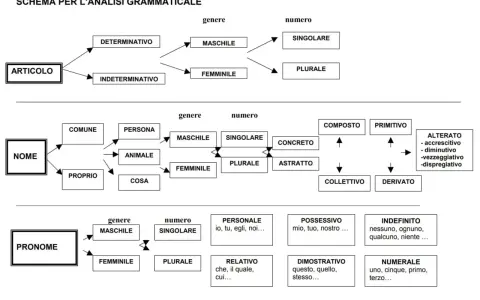 Schema per l'analisi grammaticale: articolo, nome e pronome con genere, numero e altre categorie. Un vero capostazione per l'analisi grammaticale.