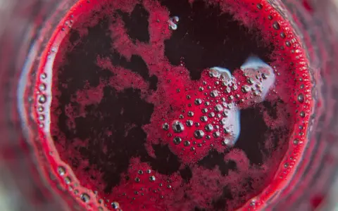 Piana i bąbelki na powierzchni zakwasu buraczanego. Zastanawiasz się, dlaczego zakwas buraczany pleśnieje? To może być oznaka niewłaściwej fermentacji.