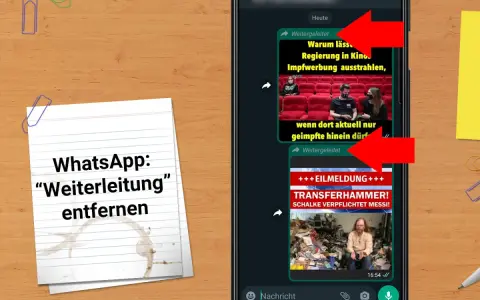 WhatsApp-Nachrichten mit roten Pfeilen, die auf "Weitergeleitet" zeigen.
