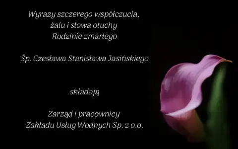 Wyrazy współczucia dla rodziny zmarłego. Jak napisać kondolencje z powodu śmierci mamy? Kwiat kalii na czarnym tle.