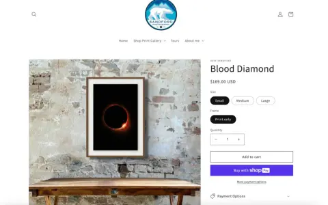 Strona prezentuje zdjęcie "Blood Diamond" autorstwa Dave'a Sandforda, pokazując, jak zarabiać na zdjęciach, sprzedając je w różnych rozmiarach i opcjach ram.