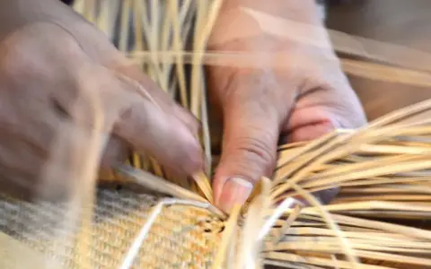 Mains habiles tressant des brins de paille, un vieil outil artisanal prend forme.