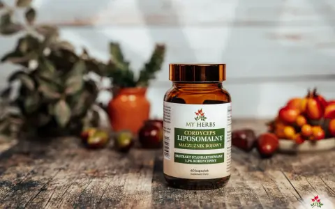 Suplement diety z maczużnikiem bojowym. Cordyceps co to? To ekstrakt standaryzowany na 1,3% kordycepiny w kapsułkach.
