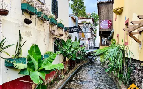 Idyllischer Wasserlauf in der madeira funchal altstadt, umgeben von üppiger Vegetation und bunten Häusern.