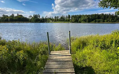 Holzsteg führt zu einem ruhigen Badesee im Harz, umgeben von grünen Ufern und Bäumen unter blauem Himmel mit Wolken.