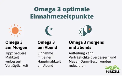 Omega 3 optimale Einnahmezeitpunkte: morgens zur größeren Mahlzeit, abends zur Hauptmahlzeit oder aufgeteilt für bessere Verträglichkeit.