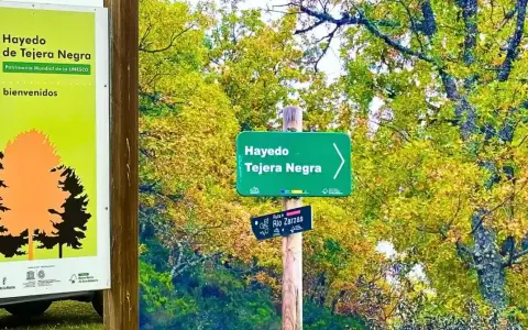 Cartel de bienvenida al Hayedo de Tejera Negra, Patrimonio Mundial de la UNESCO. Señalización de senderos en un bosque otoñal.