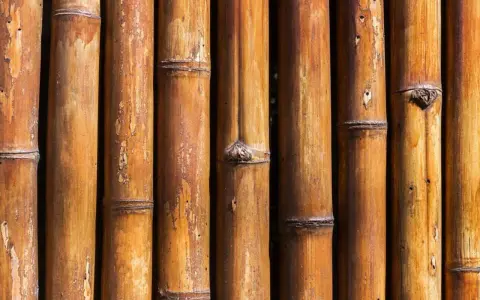 Texture de bambou brun, idéal pour apprendre comment nettoyer du bambou noirci.