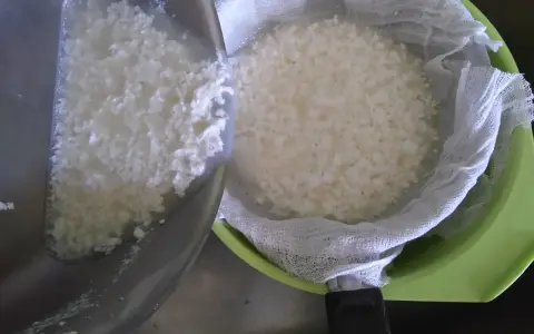 Jak zrobić bryndzę z buncu? Domowy przepis krok po kroku