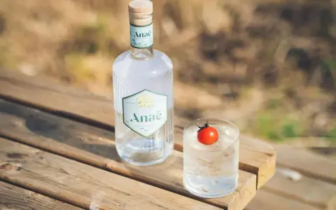 Butelka ginu Anaë i szklanka z lodem i pomidorkiem. Ten gin z Francji, z czego jest gin? Z natury.