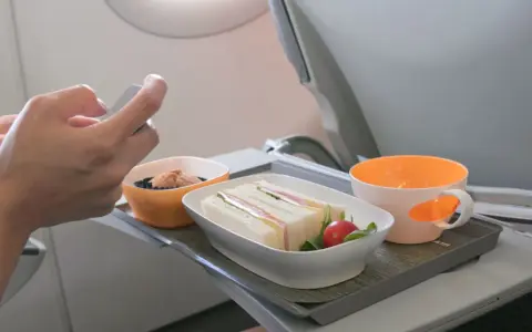 Na tacy w samolocie Wizzair kanapka, babeczka i napój. Zastanawiasz się, czy można wziąć jedzenie do samolotu Wizzair? Tak, można!