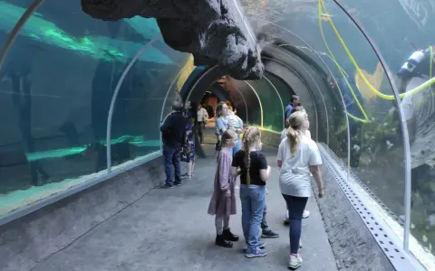 Orientarium Łódź: Największe oceanarium w Polsce? Co musisz wiedzieć!