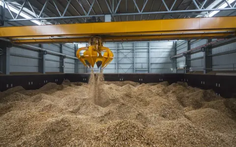 Ein Greifer lädt Holzspäne, ein Beispiel für Biomasse, in einen Lagerraum.