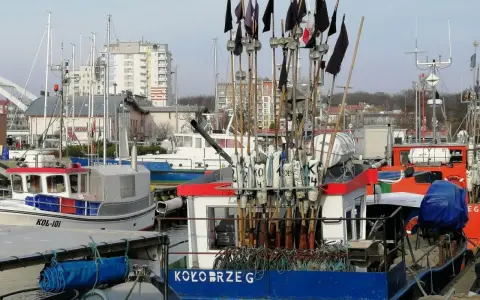 Świeża ryba w Kołobrzegu: Gdzie kupić i jak rozpoznać?