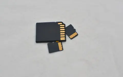 Trzy czarne karty pamięci: jedna większa, przypominająca kartę SD, oraz dwie mniejsze, typu microSD. Złote styki widoczne na każdej karcie.