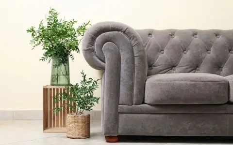 Sofá Chesterfield gris con tapizar de terciopelo, junto a plantas verdes en un jarrón y maceta.