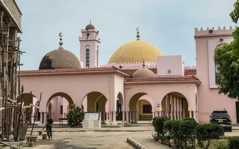 Różowa budowla z kopułami i minaretem, przypominająca meczet, w stolicy Tanzanii. Obok plac budowy.