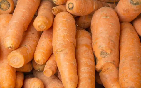 Mnóstwo pomarańczowych marchewek, bogatych w beta karoten, które mogą przynieść wiele korzyści dla zdrowia.
