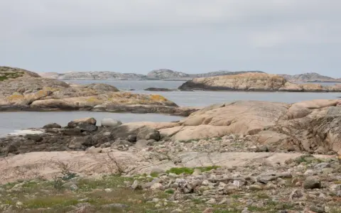 Klippiga öar och skär i havet, där tjurpannan leder vägen genom det karga landskapet.
