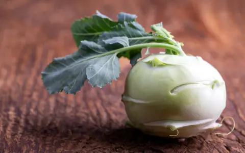 Ein frischer Kohlrabi mit grünen Blättern liegt auf einem rustikalen Holztisch. Kohlrabi gesund und vielseitig.