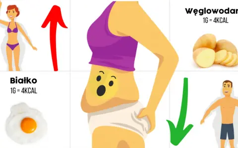 Dieta redukcyjna – co to jest i jak skutecznie schudnąć?