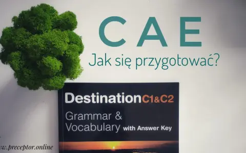 Książka "Destination C1&C2 Grammar & Vocabulary" jako materiał do przygotowania do CAE exam sample. Obok zielony mech.