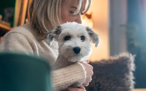 En kvinna håller en vit hund. Hunden ser lite orolig ut, kanske en omplacering hund som anpassar sig.