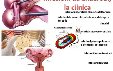Illustrazione di infezioni da batteri anaerobi, con immagini di colture batteriche, anatomia femminile e schemi di batteri.