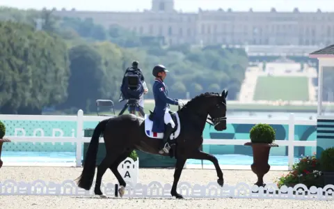 Un cavalier dressage français, en tenue bleue et blanche, monte un cheval noir dans une carrière. Le château de Versailles est visible en arrière-plan.
