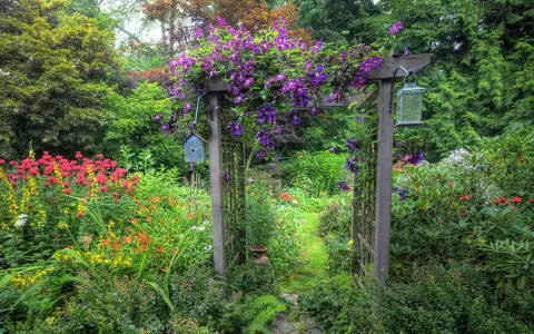 Ein Holzbogen, üppig mit lila Clematis bewachsen, markiert den Eingang zu einem blühenden Garten. Ein Vogelhaus und eine Laterne zieren den Bogen.
