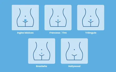 Ilustraciones de diferentes estilos de afeitado y depilación íntima: ingles básicas, francesa, triángulo, brasileña y Hollywood.