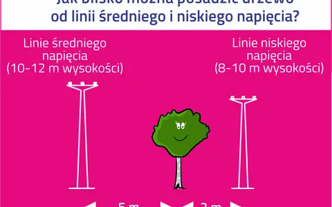 Ilustracja porównuje odległości sadzenia drzew od różnych rodzajów linii energetycznych: średniego napięcia (5 m) i niskiego napięcia (2 m).