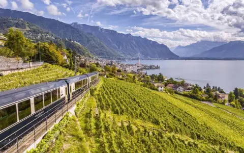 A train travels through lush vineyards overlooking a lake and mountains, part of the scenic Golden Pass Montreux to Interlaken route.